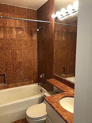 3rd image of 300 E 62nd St APT 405