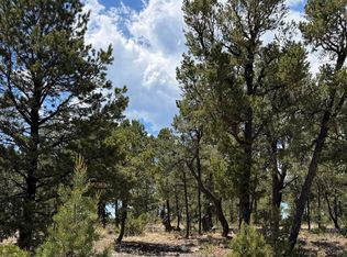 7 Dancing Hawk Dr, Pecos, NM 87552