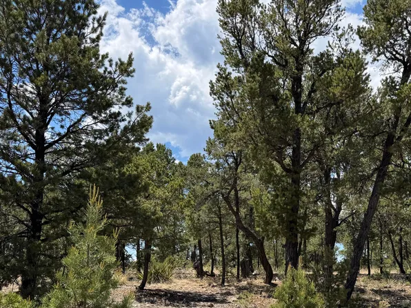 7 Dancing Hawk Dr, Pecos, NM 87552