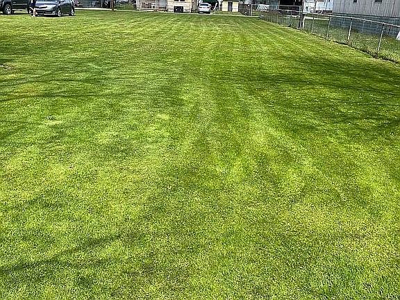 Land beside the house