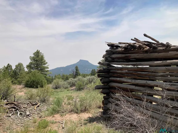 Forest Rd #100, Youngsville, NM 87064