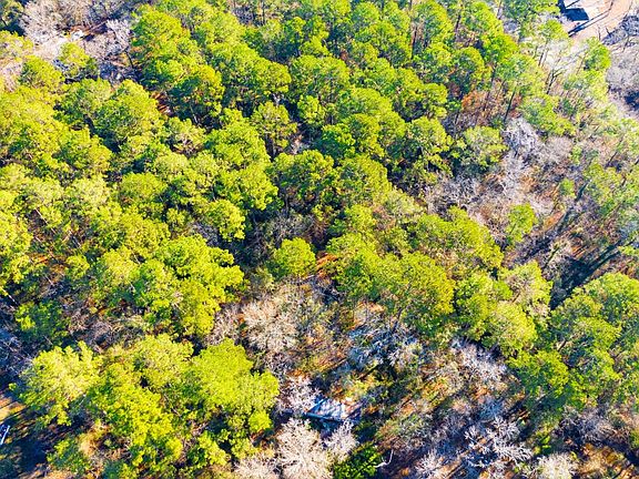 2nd image of 30 Cedar Spgs