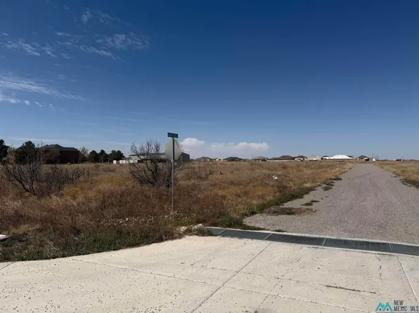 N Rolling Meadows St, Hobbs, NM 88242
