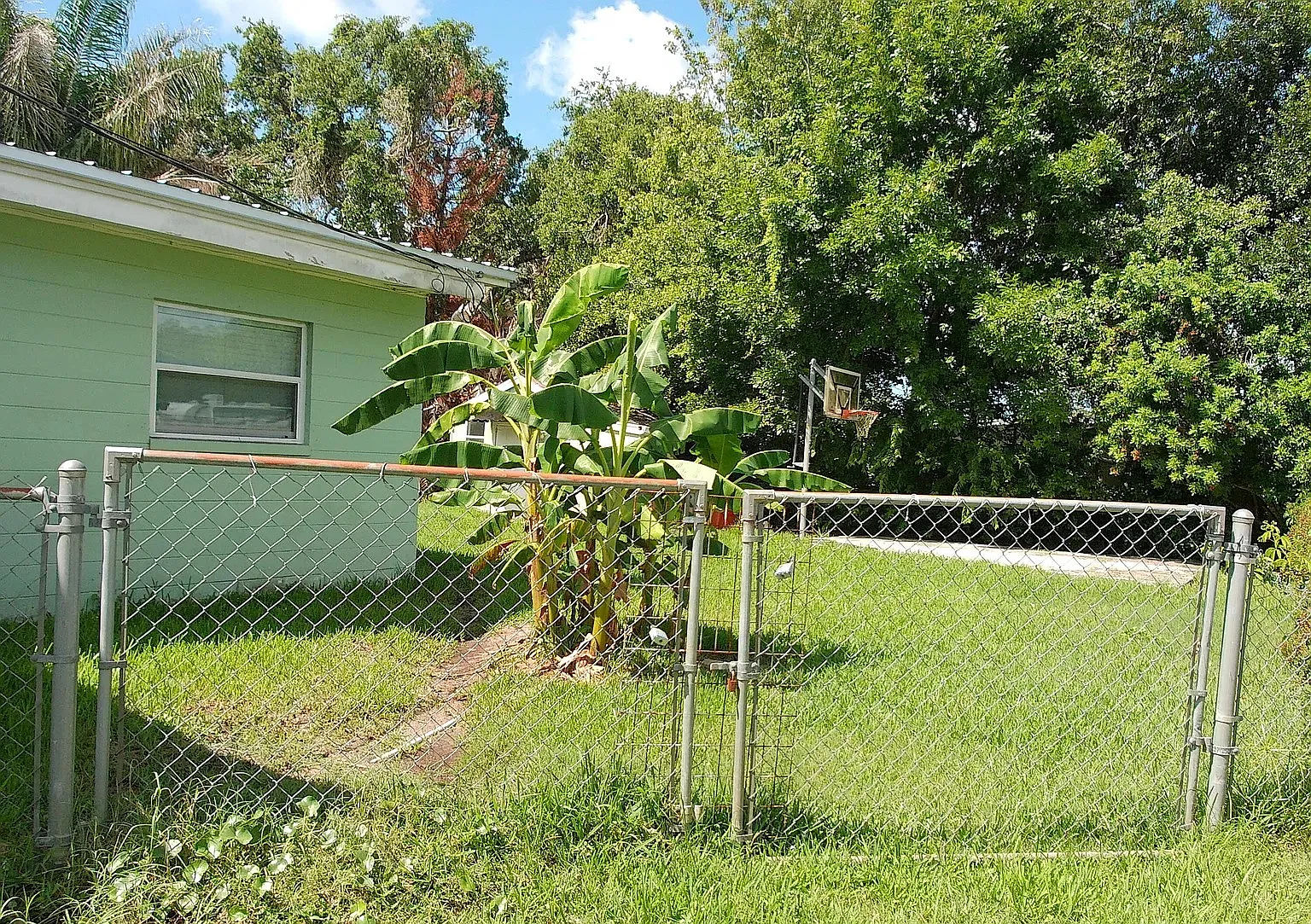 464 Judy St — Photo 4