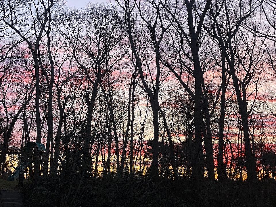 Backyard Sunset