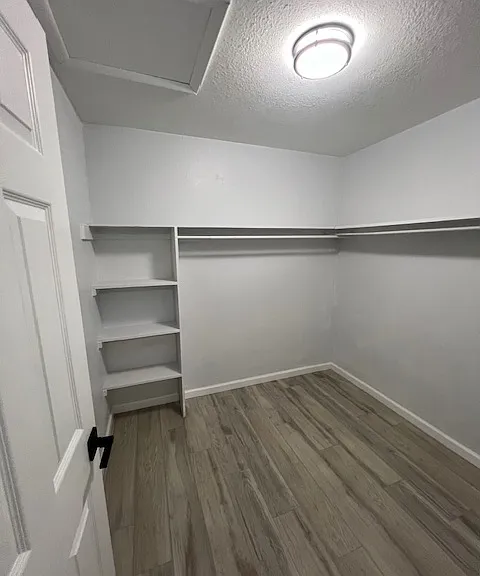 Palm Court Apartments — Photo 10
