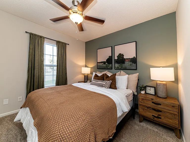 Cozy bedroom with carpet