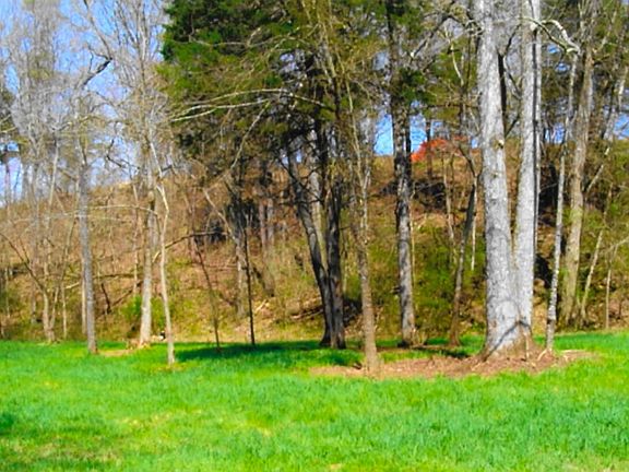 5th image of 35 Watauga Ln Lot 35
