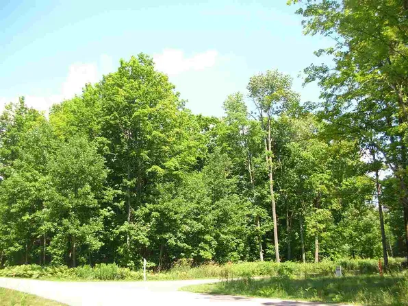 9595 Maple Isle Ct, Alanson, MI 49706