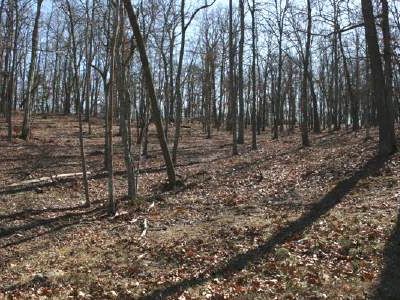 19-20 Mystic Rdg, Blairsville, GA, 30512