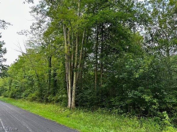 Highland Ave, Ashtabula, OH 44004