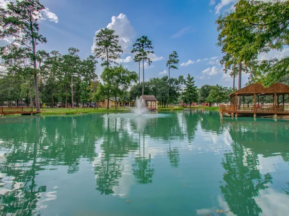 22927 Northoak Forest Ln, Spring, TX 77389