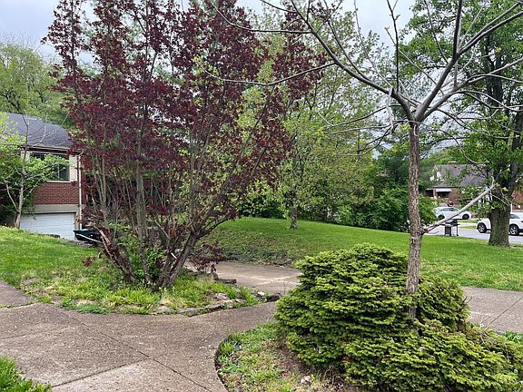 3rd image of 4300 Cappel Dr