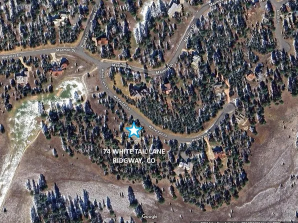 74 White Tail Ln, Ridgway, CO 81432