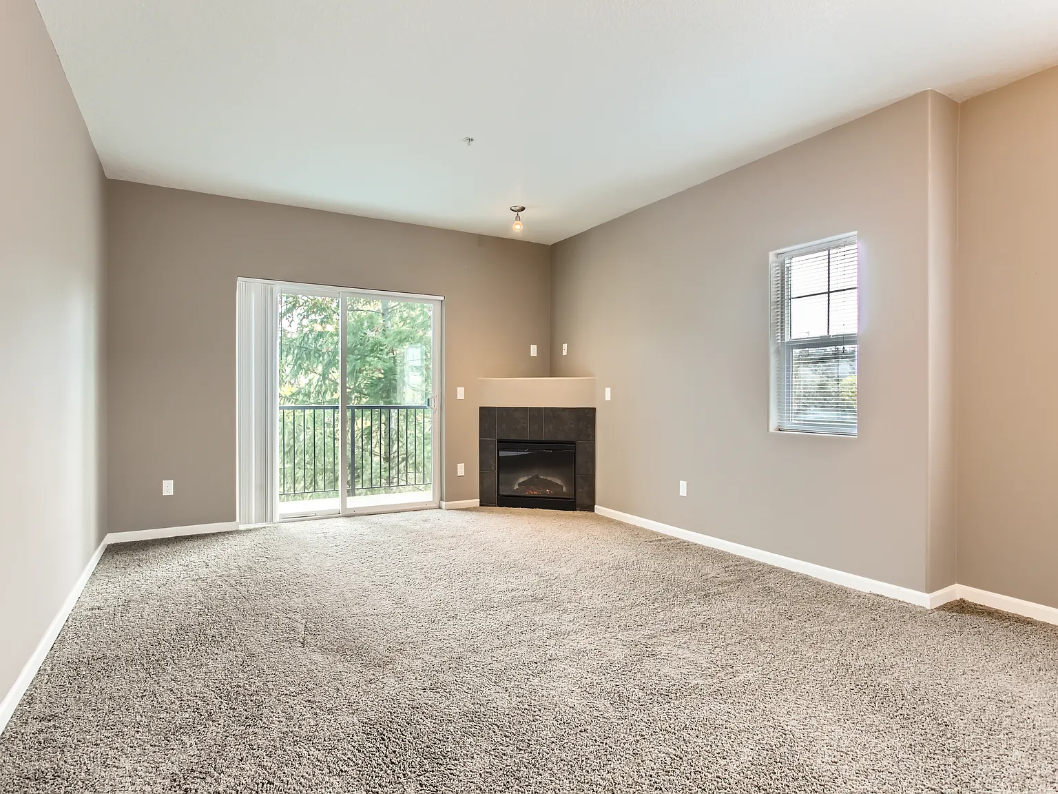 Timberland Falls — Photo 4