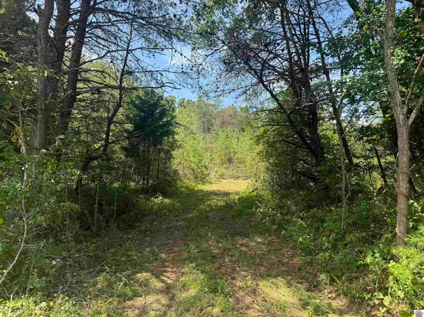 0 Douglas Rd, Murray, KY 42071