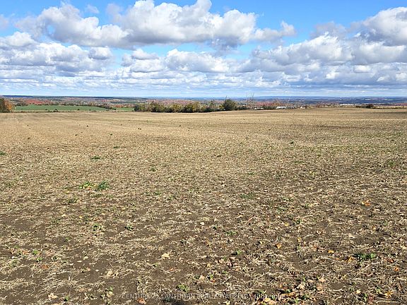 5th image of 488297 30th Side Rd