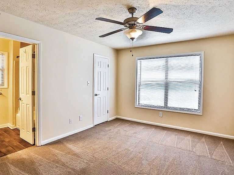 Ceiling Fans