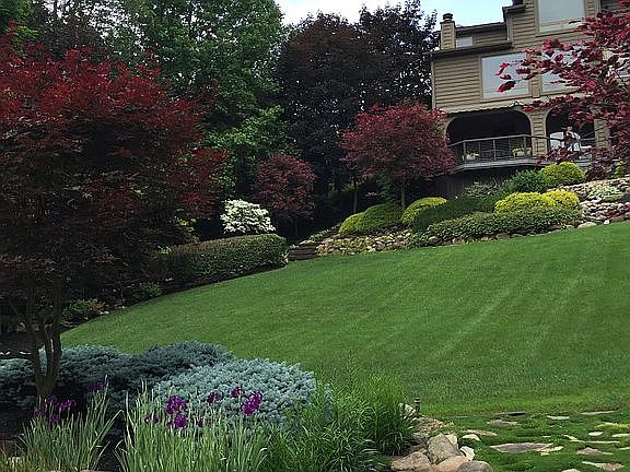 Back yard view of home