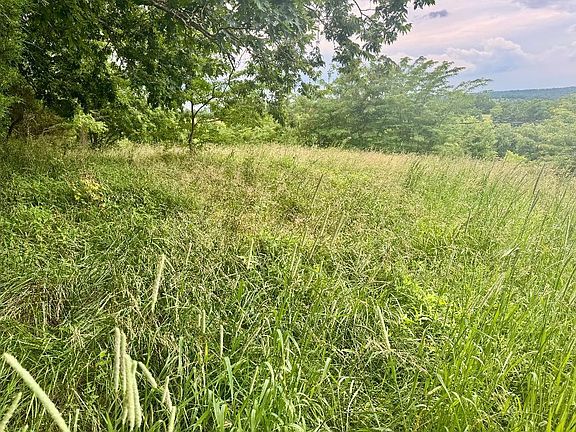 2nd image of 27.28 Acre Hwy #467