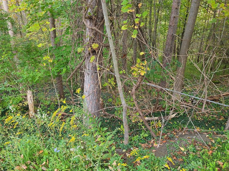 2nd image of 198 Foster Rd