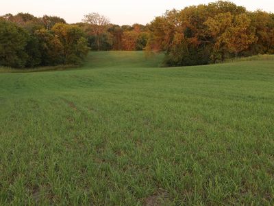 May Ave #X, Marine On Saint Croix, MN, 55047