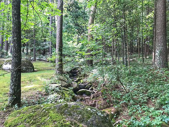 5th image of 2299 Bradley Cove Rd