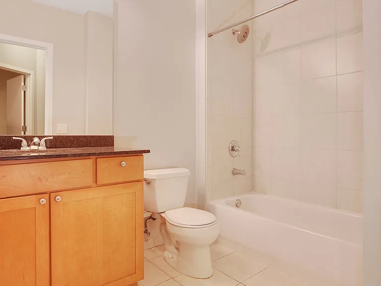 720 N Larrabee St #1706 — Photo 10