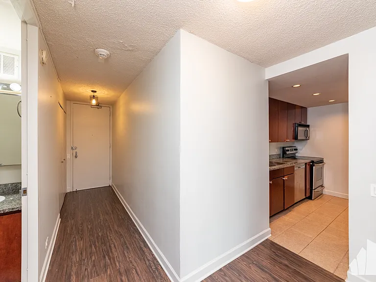30 E Huron St #904 — Photo 5