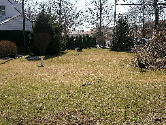 2nd image of 341 Burgher Ave