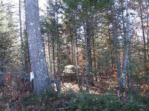 2nd image of Lot#2 Main Street
