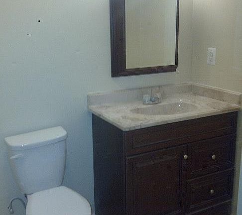 toilet and vanity