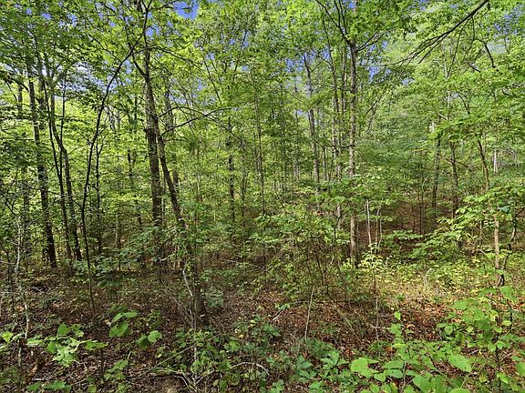 5th image of 845 Ridgewood Dr Lot 17