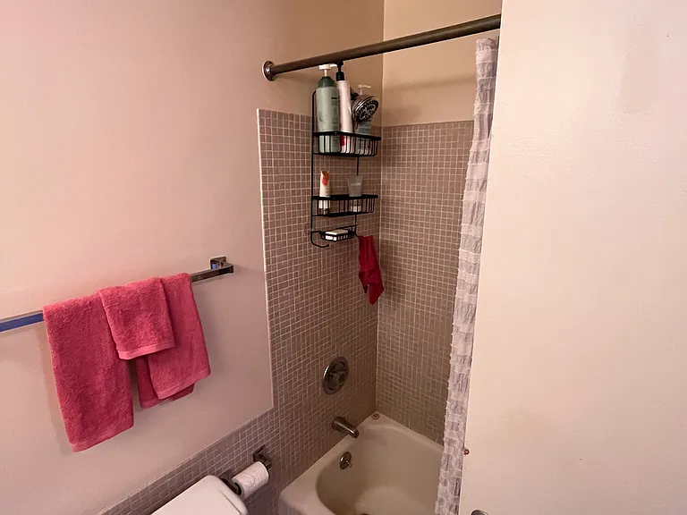 2400 N Lakeview Ave #904 — Photo 16
