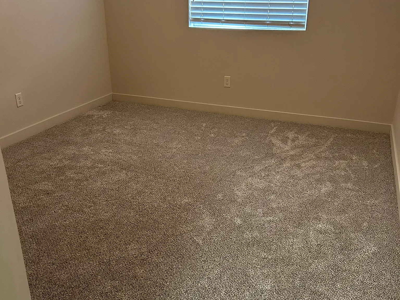 3 bed, 1309 sqft, $750 — Photo 3