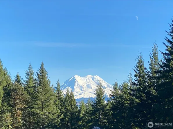 0 XXX Roedomsky Road E, Eatonville, WA 98328