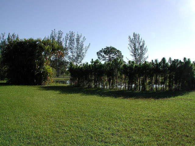 front side of pond