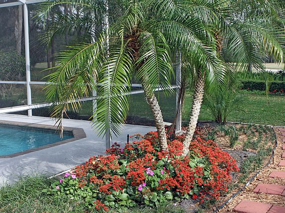 Pool Landscaping
