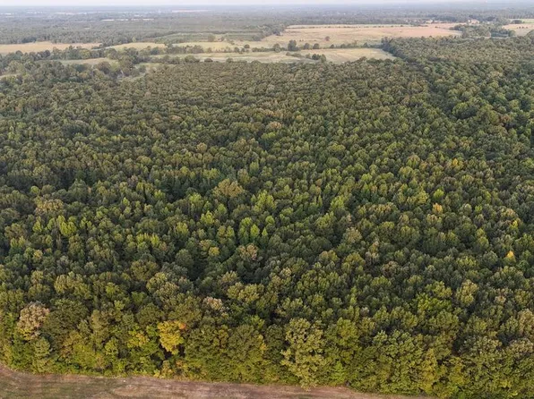 23 Little River County Rd, Ashdown, AR 71822