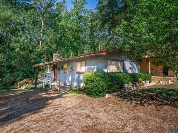 809 Washington Dr, Avinger, TX 75630