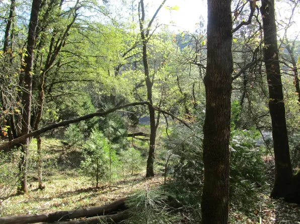 16172 Annie Dr, Grass Valley, CA 95949
