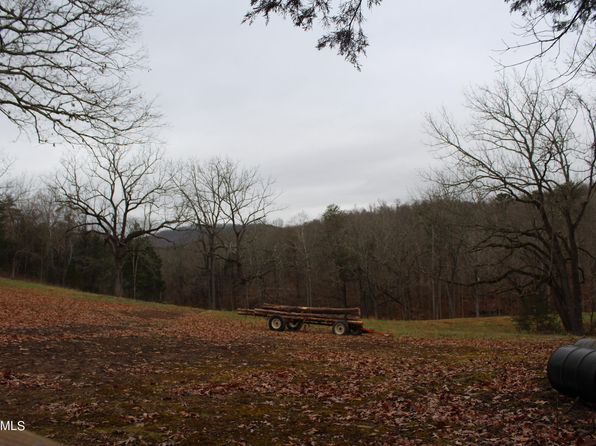 Will Patton Rd, Pall Mall, TN 38577