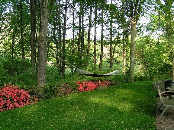 Peaceful Nap in Backyard