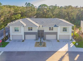 12822 Sanctuary Vista Trl #9, Tampa, FL 33625