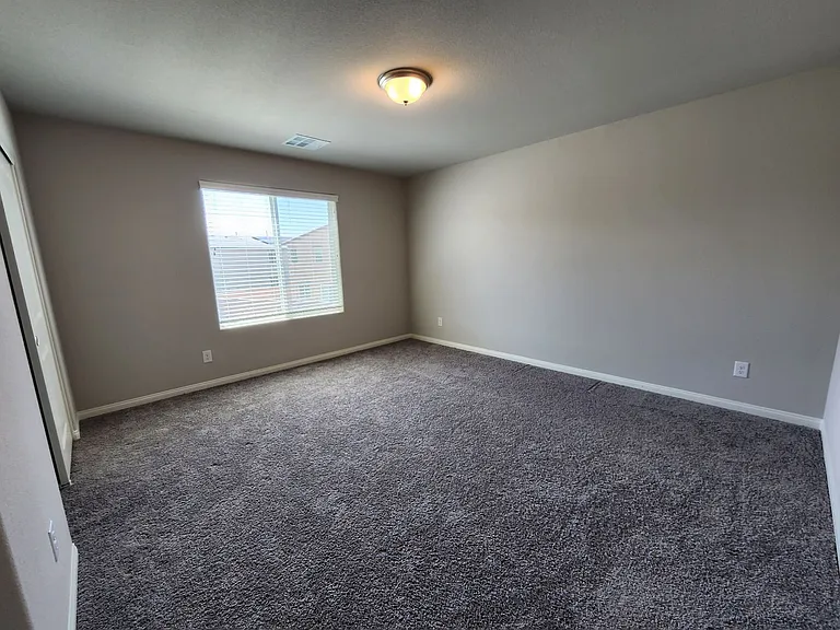 4521 Pointleaf St — Photo 35