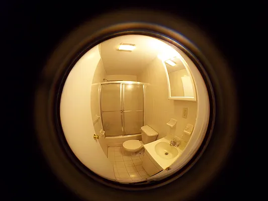 Rented by Compass | media 16