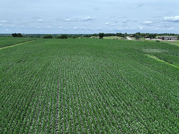 DJI_0563