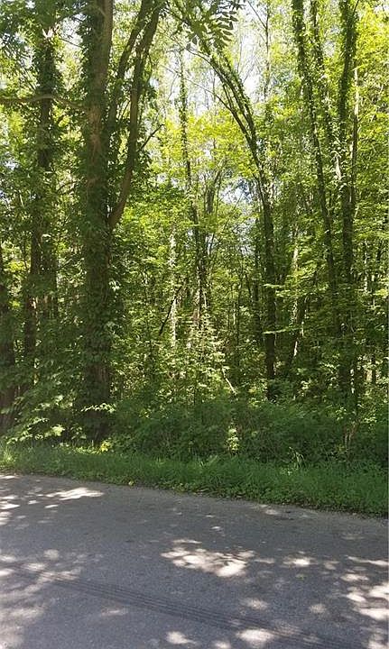2nd image of Hayne Rd
