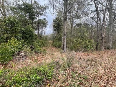 2515 W Oakland Ave, Sumter, SC, 29154