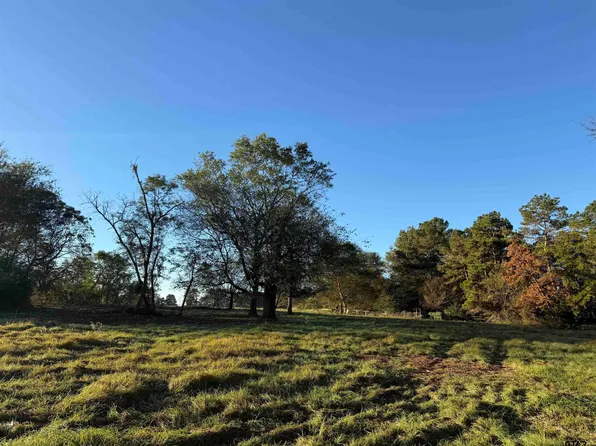 County Road 4194 Trl #8, Henderson, TX 75654